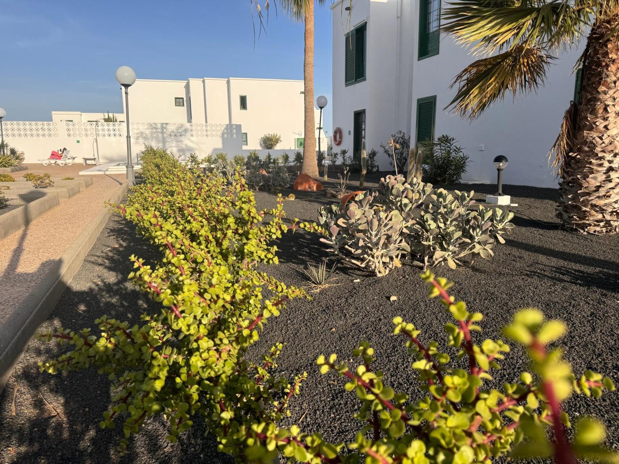 Las Mimosas A Puerto del Carmen (Lanzarote) Eksteriør billede